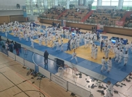22448419_928716110613572_2701434501020484780_n