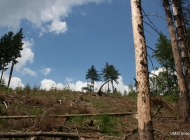 09-IMG_6230