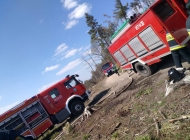 IMG-20200422-WA0022