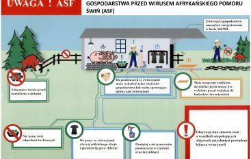 Apel do hodowców trzody chlewnej