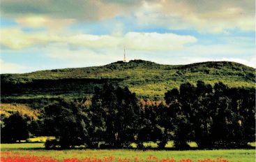 Działki gminne na sprzedaż