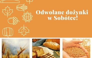 Odwołane dożynki gminne w Sobótce