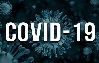 Raport Wojewódzkiej Stacji Sanitarno-Epidemiologiczej na temat zakażeń COVID-19 w Gminie Sobótka