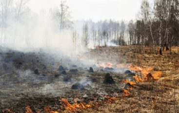 ARiMR przypomina – wypalanie traw grozi utratą dopłat