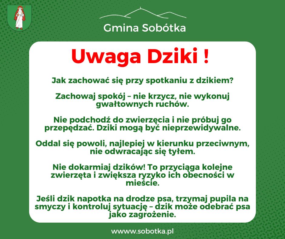Uwaga DZIKI!